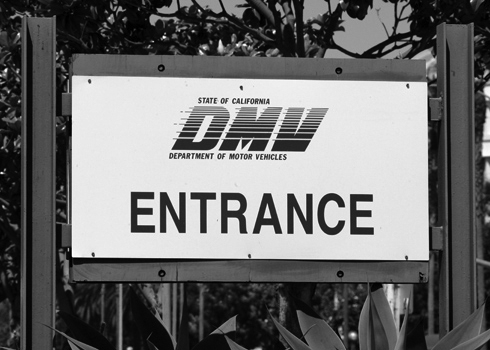 california dmv license